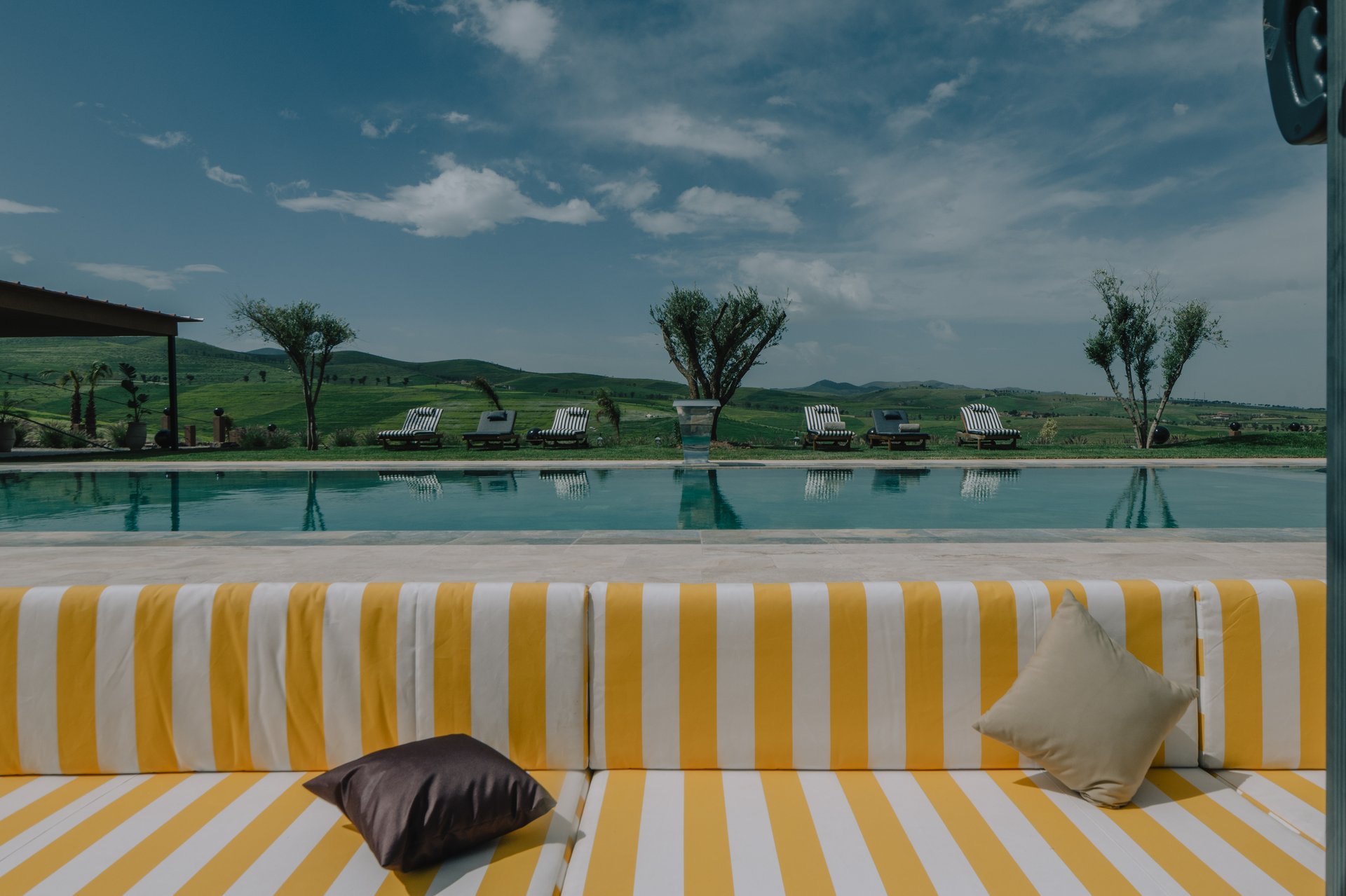 Piscine turquoise — oliviers anciens, ligne d'horizon
