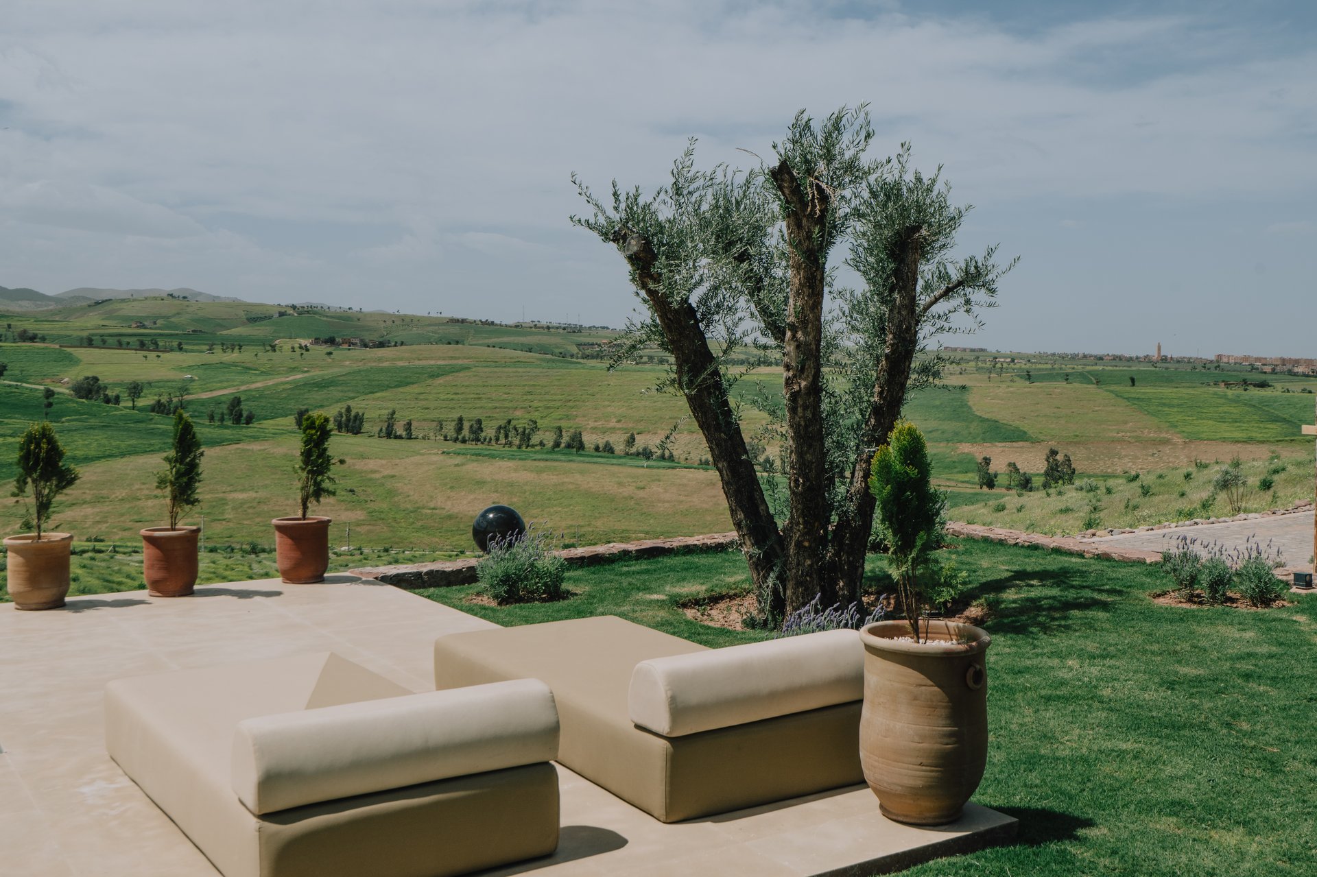 Pergola ombragée — olive centenaire, paysage infini