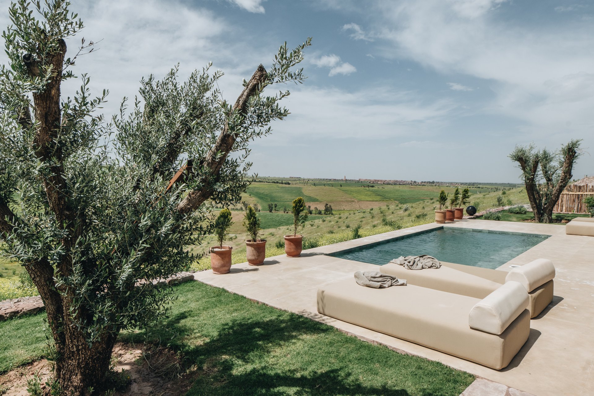 Piscine et oliviers — loungers ivoire, plaine verdoyante