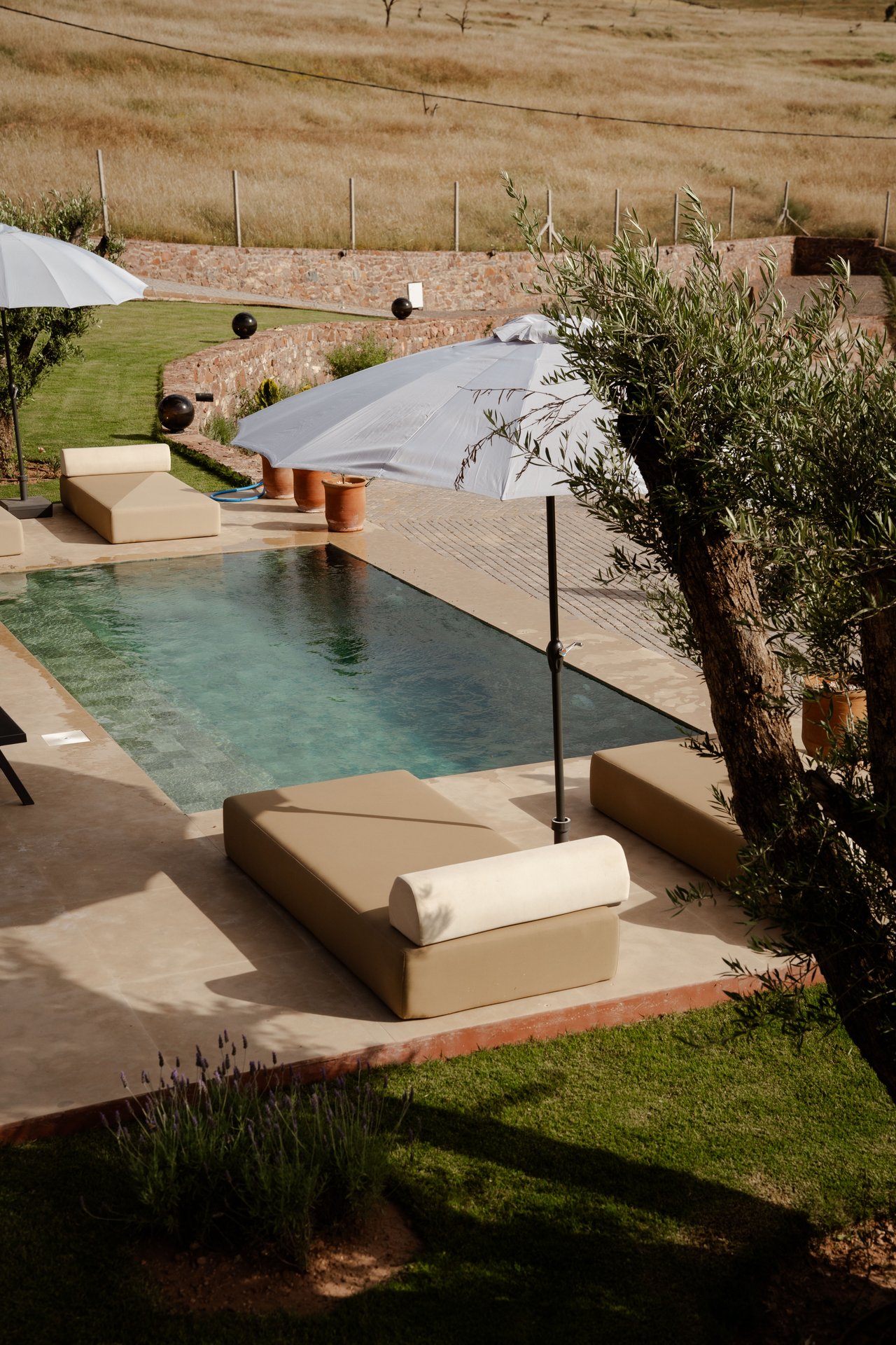 Vue d'ensemble — piscine, jardin et terrasse